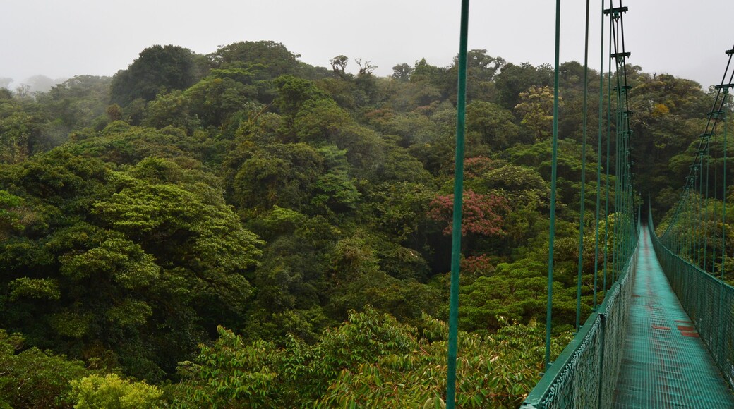 Monteverde