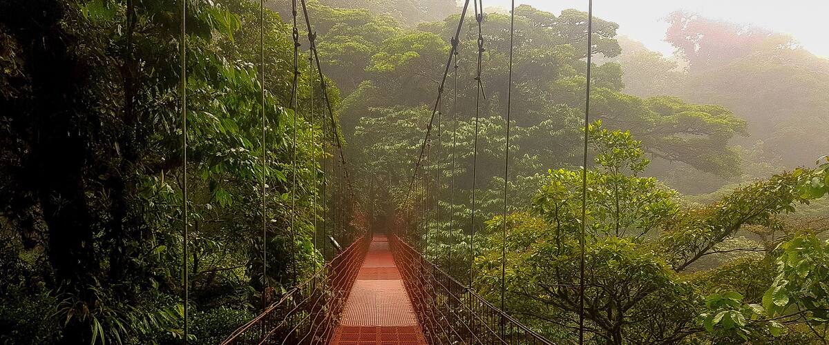 Suspensions bridges through a dense rainforest with not a single soul around make a striking contrast from the crowded Pacific Beaches and tourist towns in Costa Rica.
.
.
#adventure