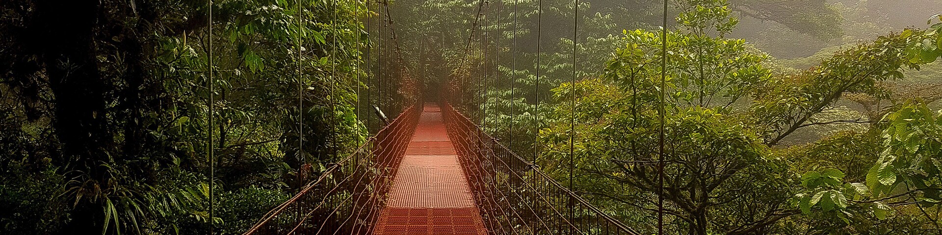 Suspensions bridges through a dense rainforest with not a single soul around make a striking contrast from the crowded Pacific Beaches and tourist towns in Costa Rica.
.
.
#adventure
