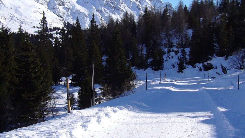 A snow-covered mountain path with trees and a clear blue sky.