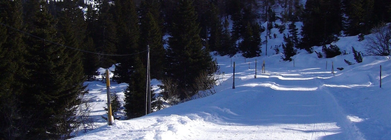 Un sentier de montagne enneigé, bordé d’arbres, sous un ciel bleu dégagé.