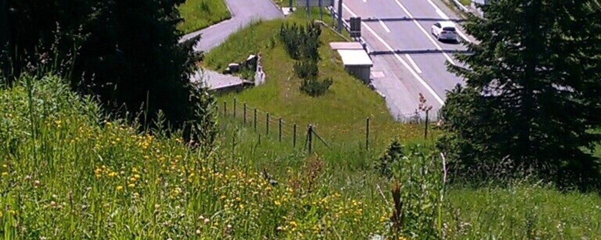 Tunnel Exit at San Bernardino