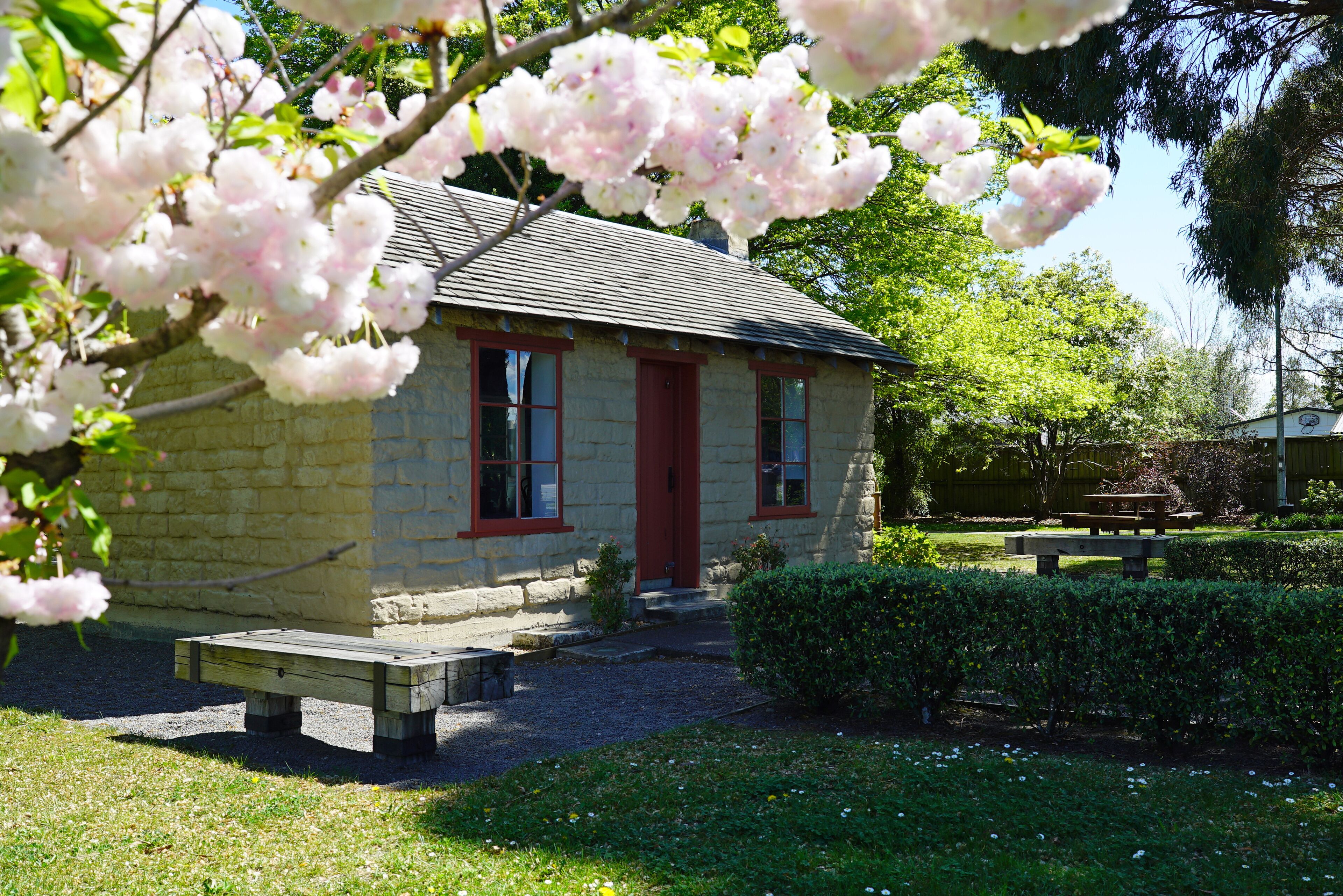 Amberley's Chamberlain Park Cobb Cottage in the springtime sunshine with daisies and grass in the foreground.