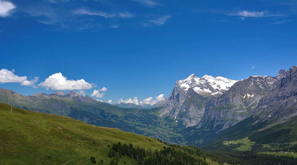 Eiger, Mönch, and Jungfrau get all the glory, but the beauty of the Panoramaweg in the Berner Oberland is also in the other mountains and valleys you see on your way. #Takeahike