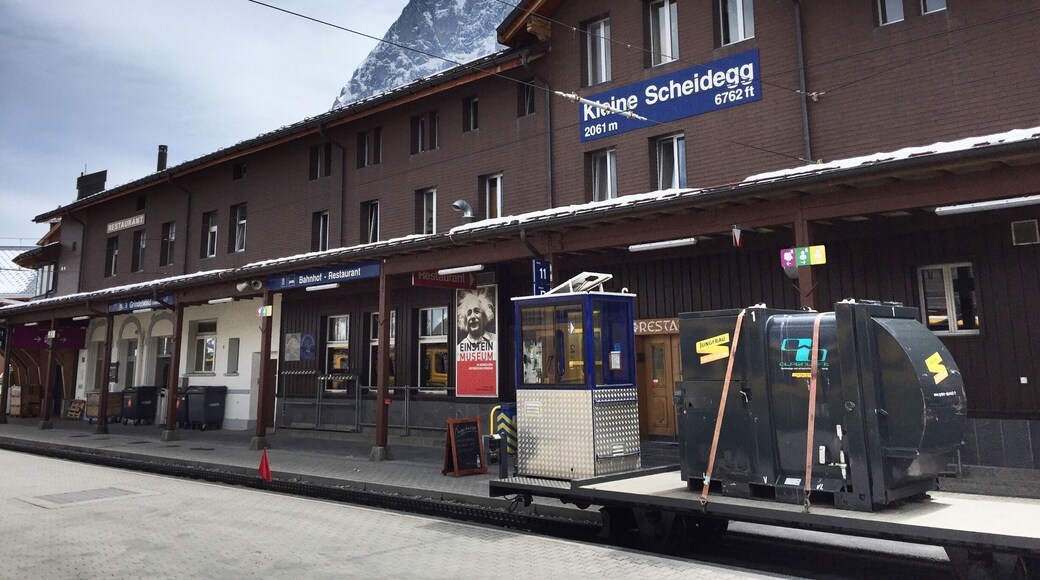 The Kleine Scheidegg is a mountain pass at an elevation of 2,061 m, situated below and between the Eiger and Lauberhorn peaks in the Bernese Oberland region of Switzerland.
