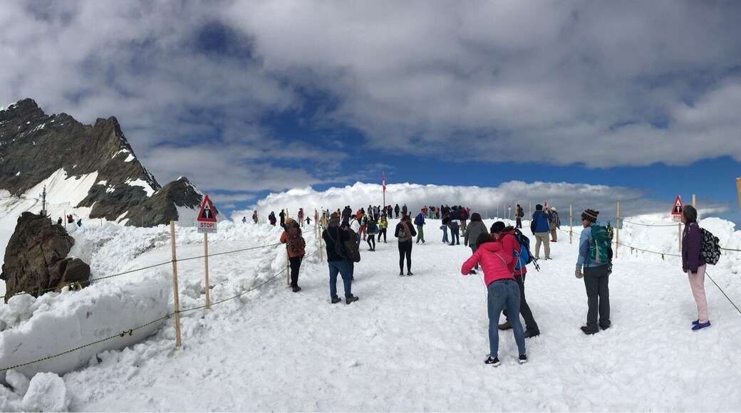 My favorite place!!! Will surely get back here! #topofreurope #alps