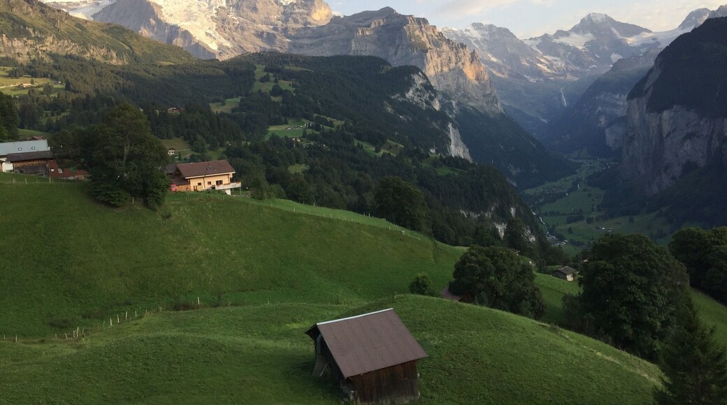 Gorgeous #Alps view from a train ride to #wengen