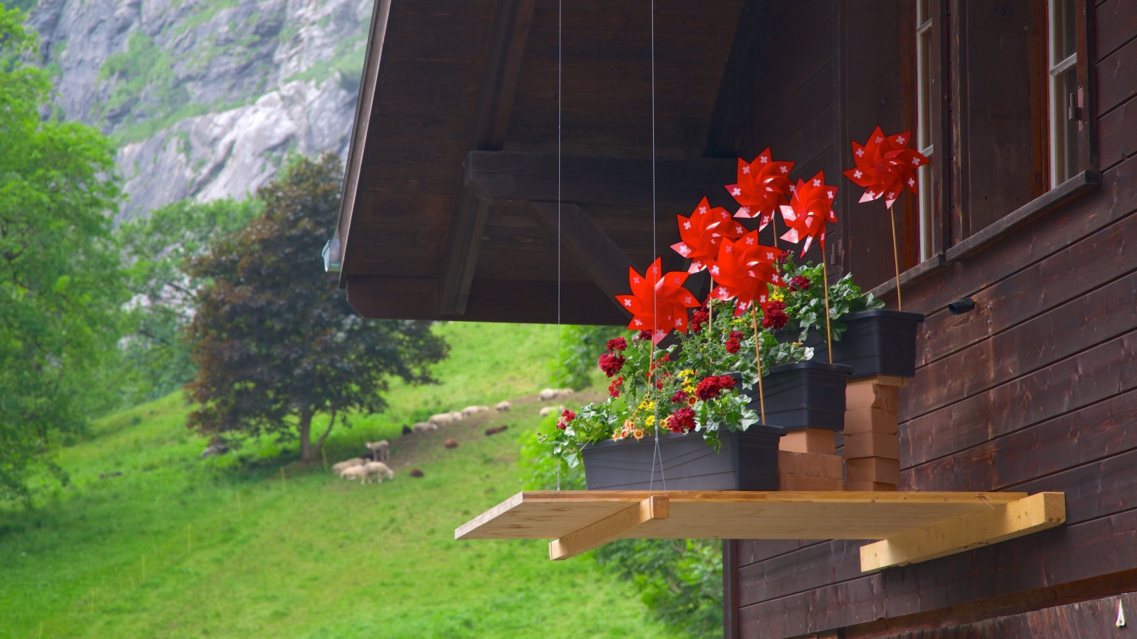Lauterbrunnen featuring a house and flowers