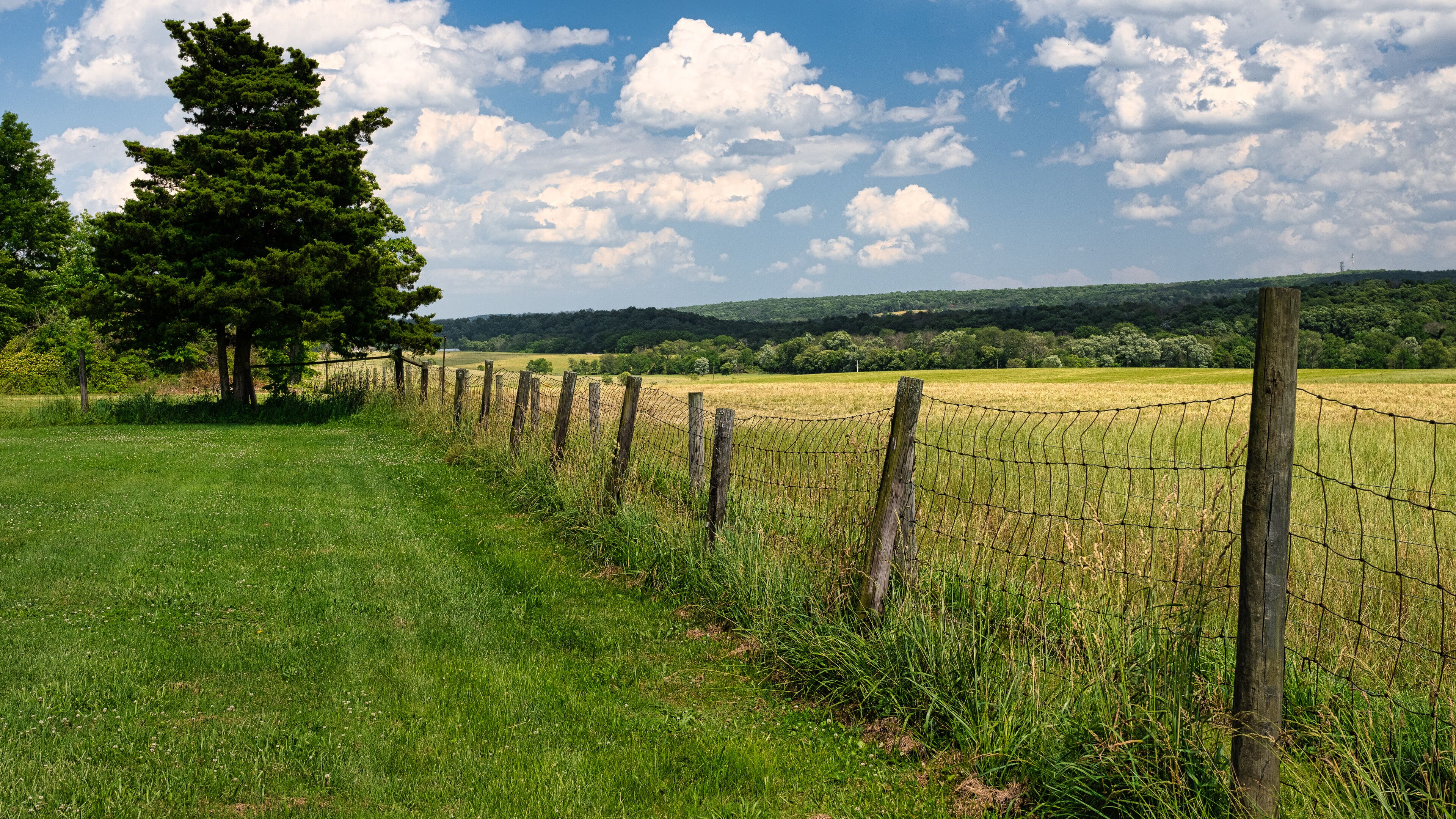 A summertime view from Clover Hill Reformed Church cemetery in Hillsborough, New Jersey, USA.