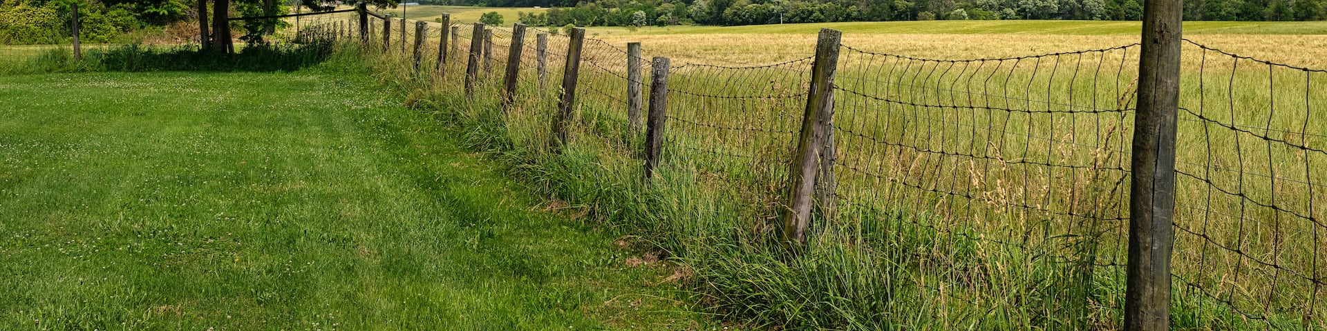 A summertime view from Clover Hill Reformed Church cemetery in Hillsborough, New Jersey, USA.