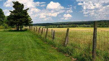 A summertime view from Clover Hill Reformed Church cemetery in Hillsborough, New Jersey, USA.