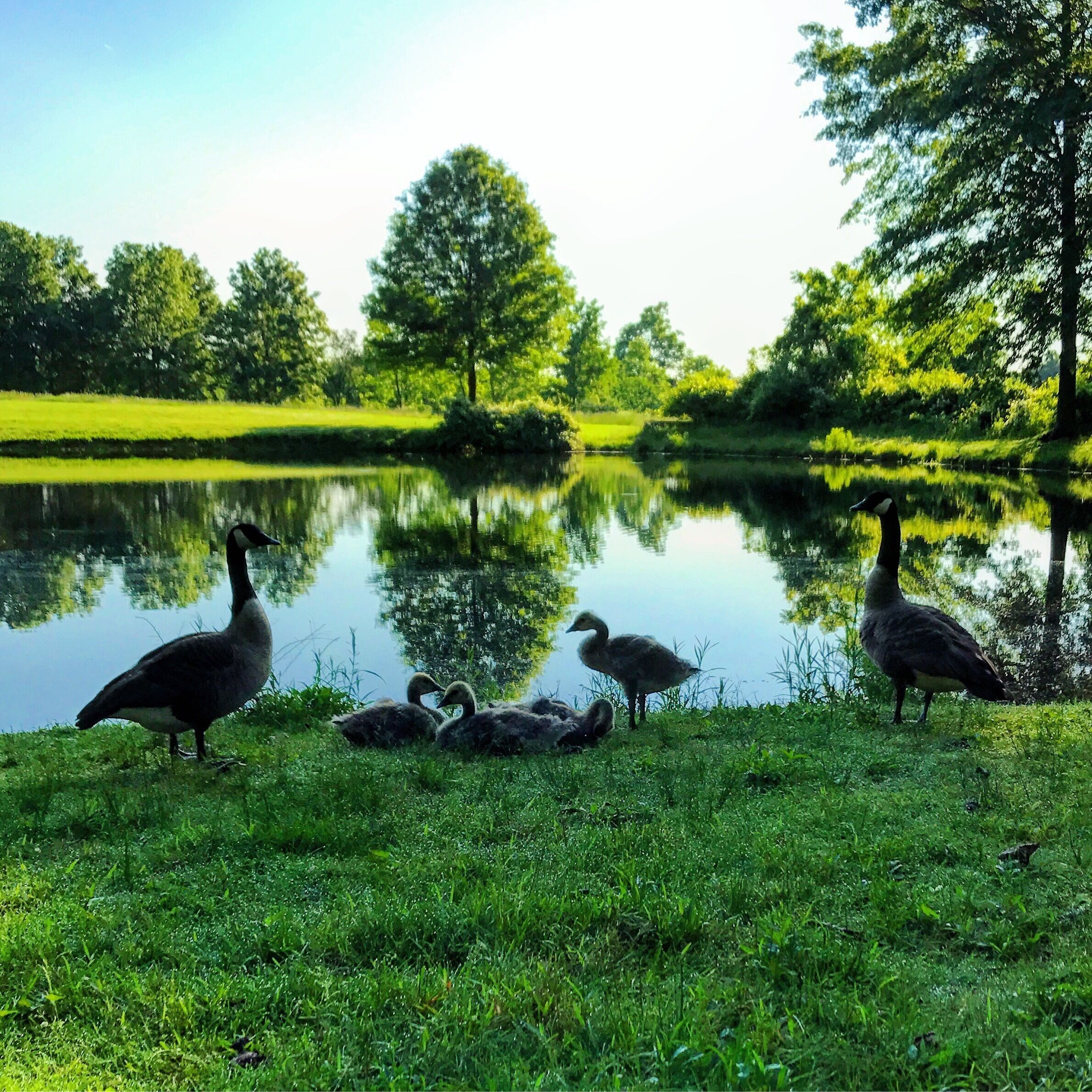One of my favorite local hiking spots.
