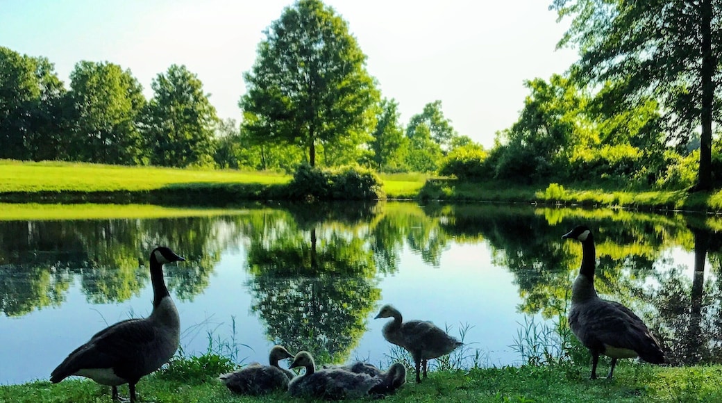 One of my favorite local hiking spots.