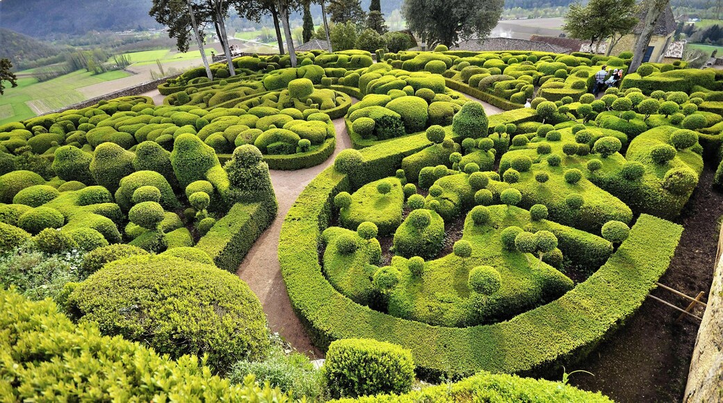 One of Perigord's most popular attractions, the spectacular topiary of the Marqueyssac Gardens are something to behold. Over 150,000 boxwoods have been trimmed to perfection in this wonderful display set atop a ridge with panoramic views (see other pic).