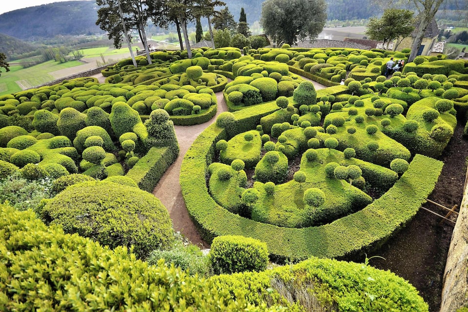 A meticulously landscaped garden with geometric topiary designs and a winding path.