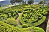 One of Perigord's most popular attractions, the spectacular topiary of the Marqueyssac Gardens are something to behold. Over 150,000 boxwoods have been trimmed to perfection in this wonderful display set atop a ridge with panoramic views (see other pic).