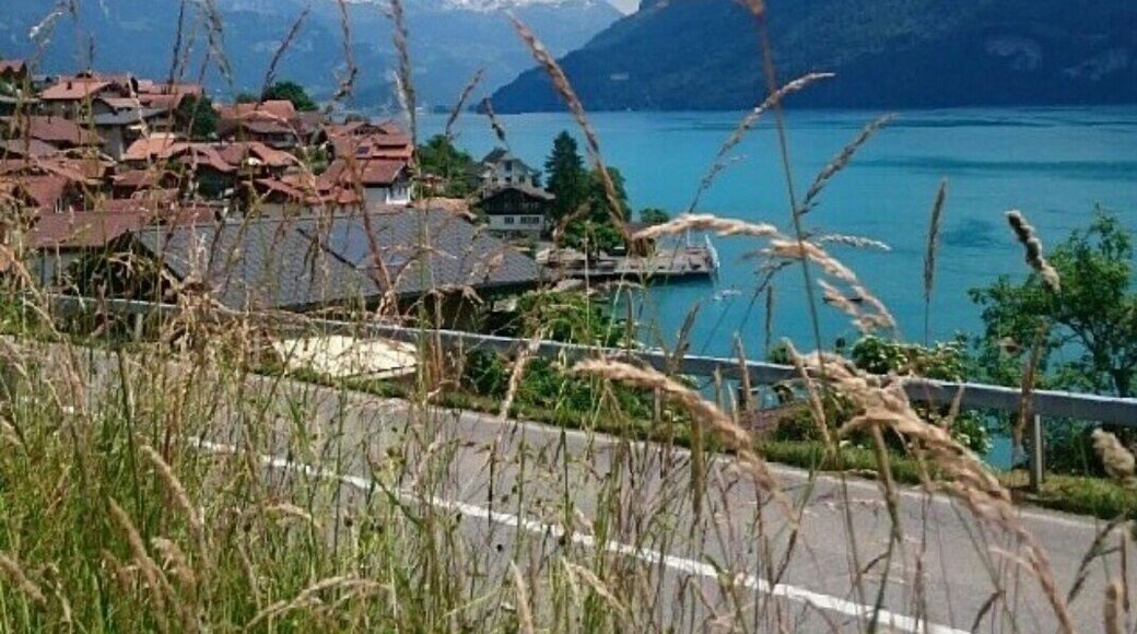 We passed by this turqoise Lake Brienz and its laid back village on the way to Interlaken.
