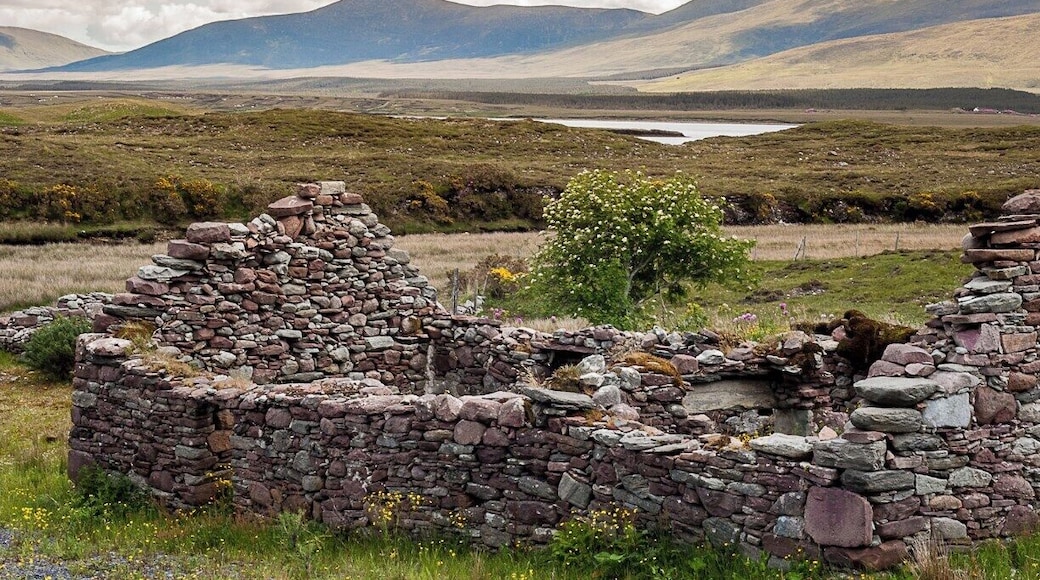 ruin of a cottage along the Mulranny to Achill stretch of the Greenway cycle path in Co Mayo