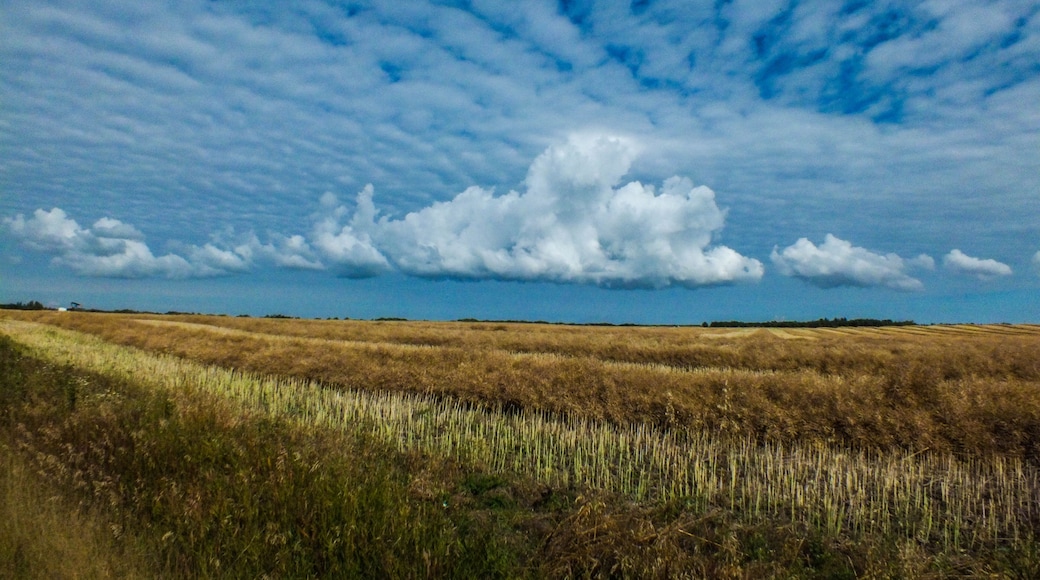 Cool Cloud over farmers field