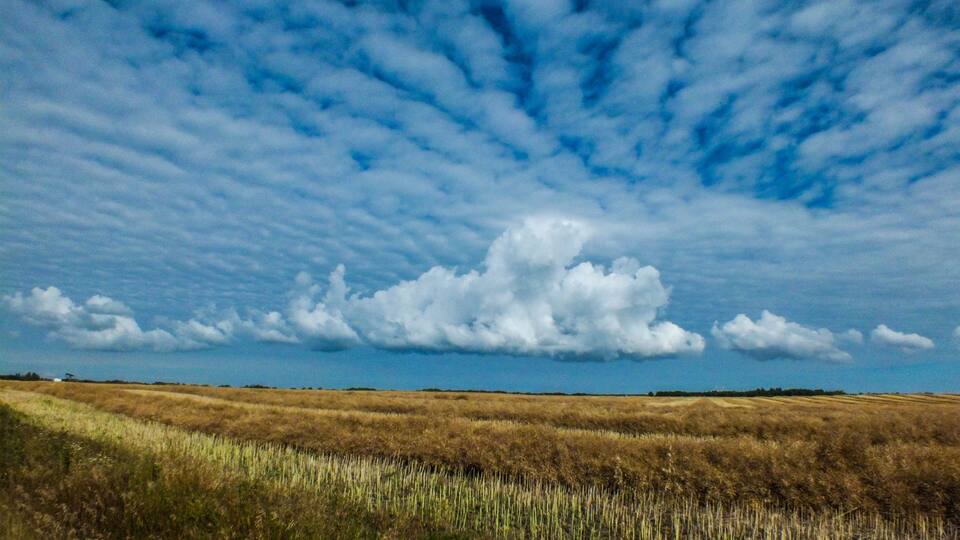 A vast field with a prominent cloud formation under a blue sky.