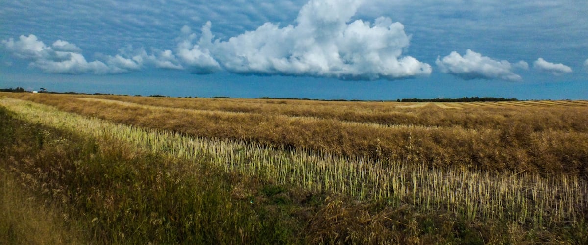 A vast field with a prominent cloud formation under a blue sky.