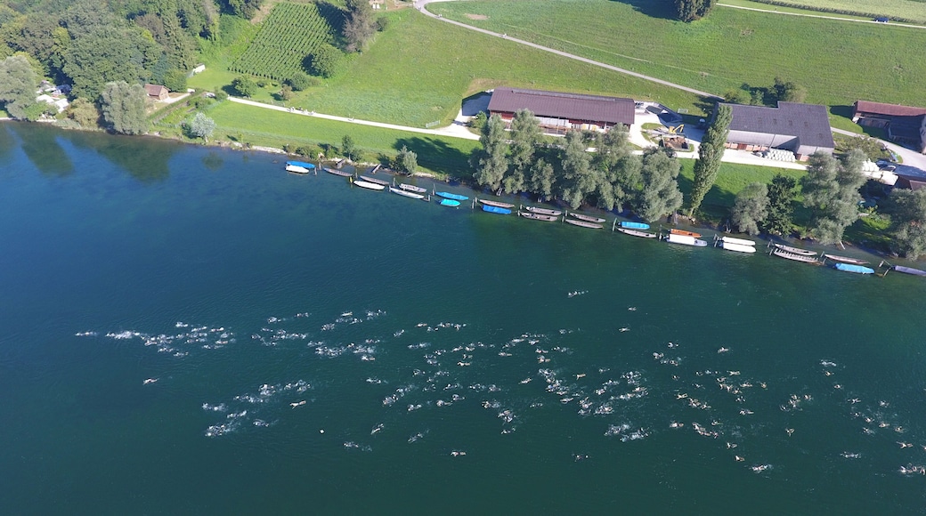 Switzerland, Canton of Schaffhausen, swimmers start at the Rhine in Dörflingen