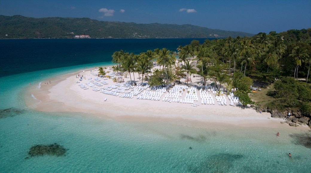 Dominican Republic showing a sandy beach, a luxury hotel or resort and tropical scenes