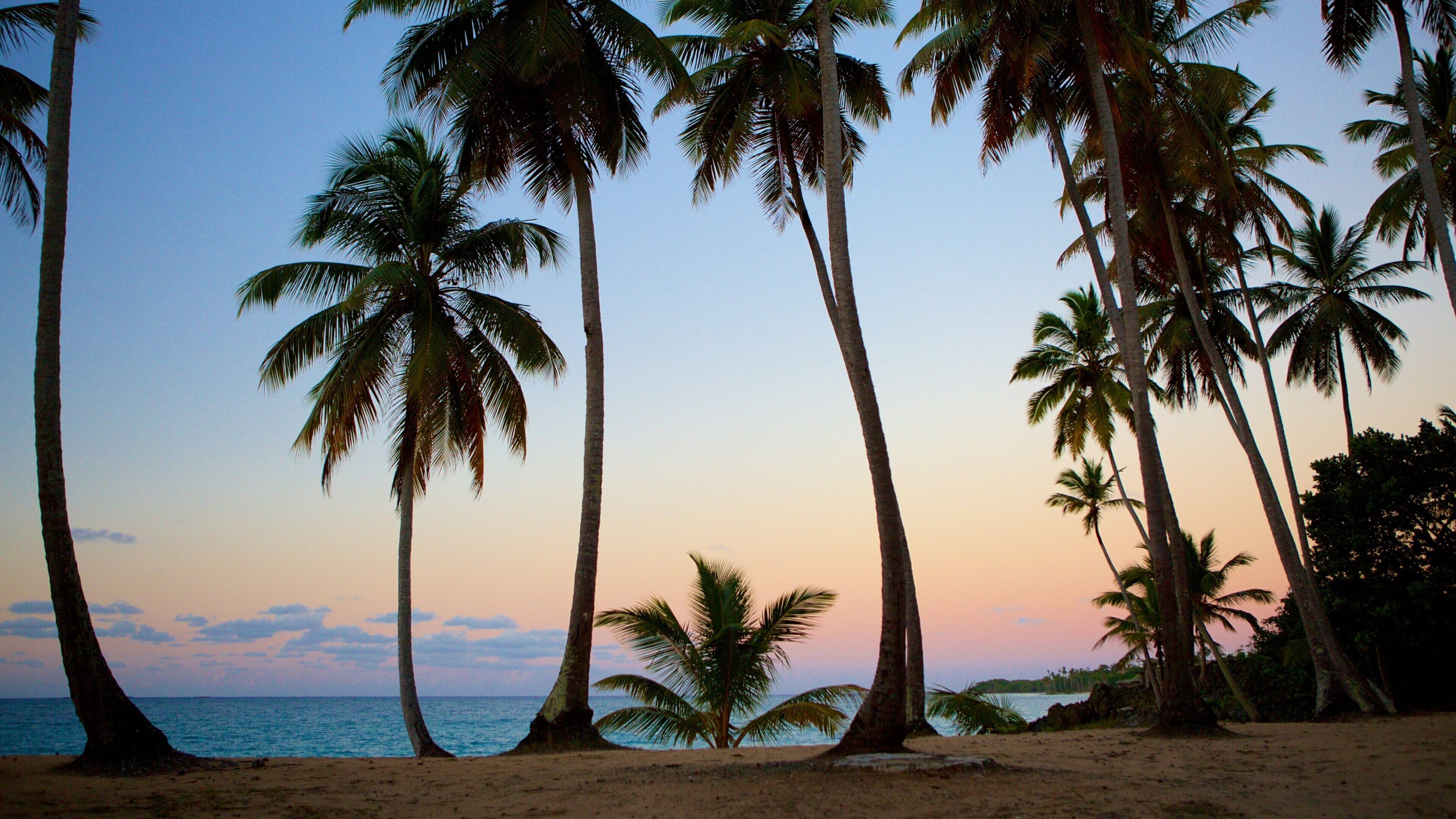 Samaná og byder på en strand, tropiske områder og en solnedgang