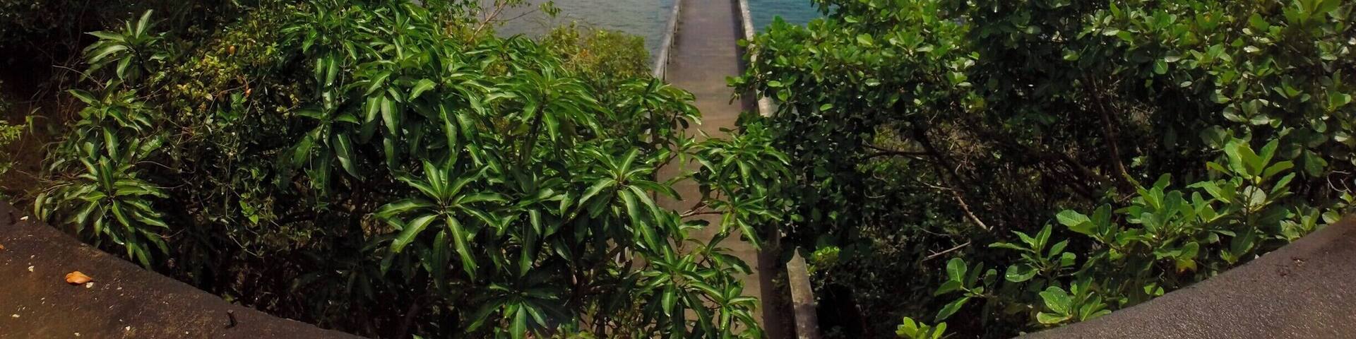 The town of Samana was small but fun to explore. Crossing the bridge to nowhere is a must!