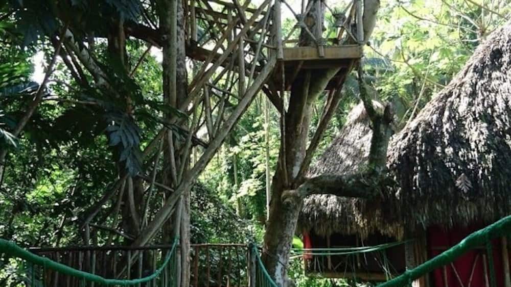 Why wouldn't you want to stay in a luxurious tree house?!!! The zipline is amazing, face your fear and do it! #Golden