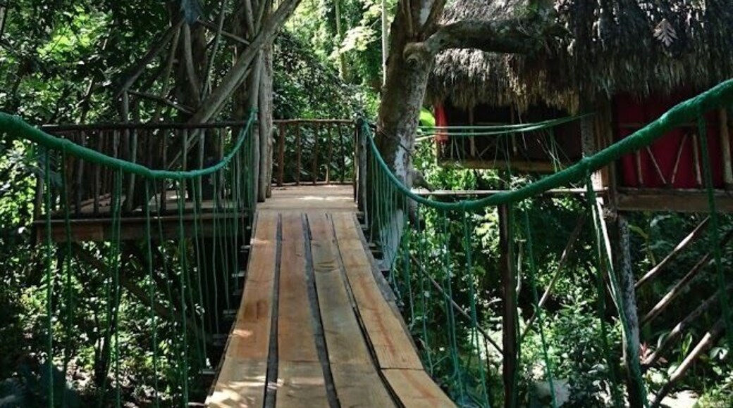 Why wouldn't you want to stay in a luxurious tree house?!!! The zipline is amazing, face your fear and do it! #Golden
