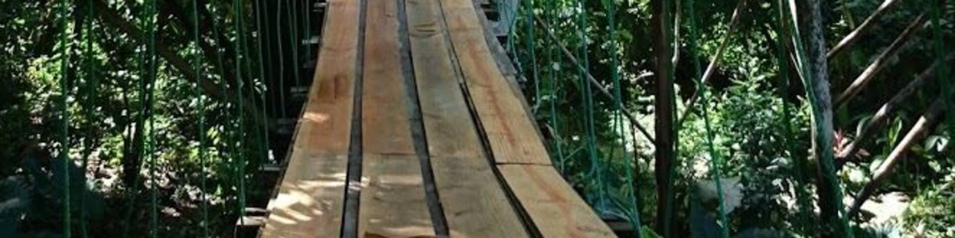 Why wouldn't you want to stay in a luxurious tree house?!!! The zipline is amazing, face your fear and do it! #Golden