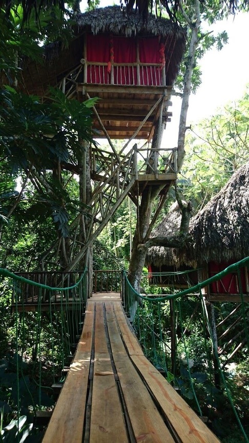 Why wouldn't you want to stay in a luxurious tree house?!!! The zipline is amazing, face your fear and do it! #Golden