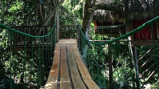 Why wouldn't you want to stay in a luxurious tree house?!!! The zipline is amazing, face your fear and do it! #Golden