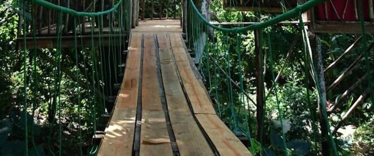 A wooden suspension bridge leading to a treehouse with a thatched roof.