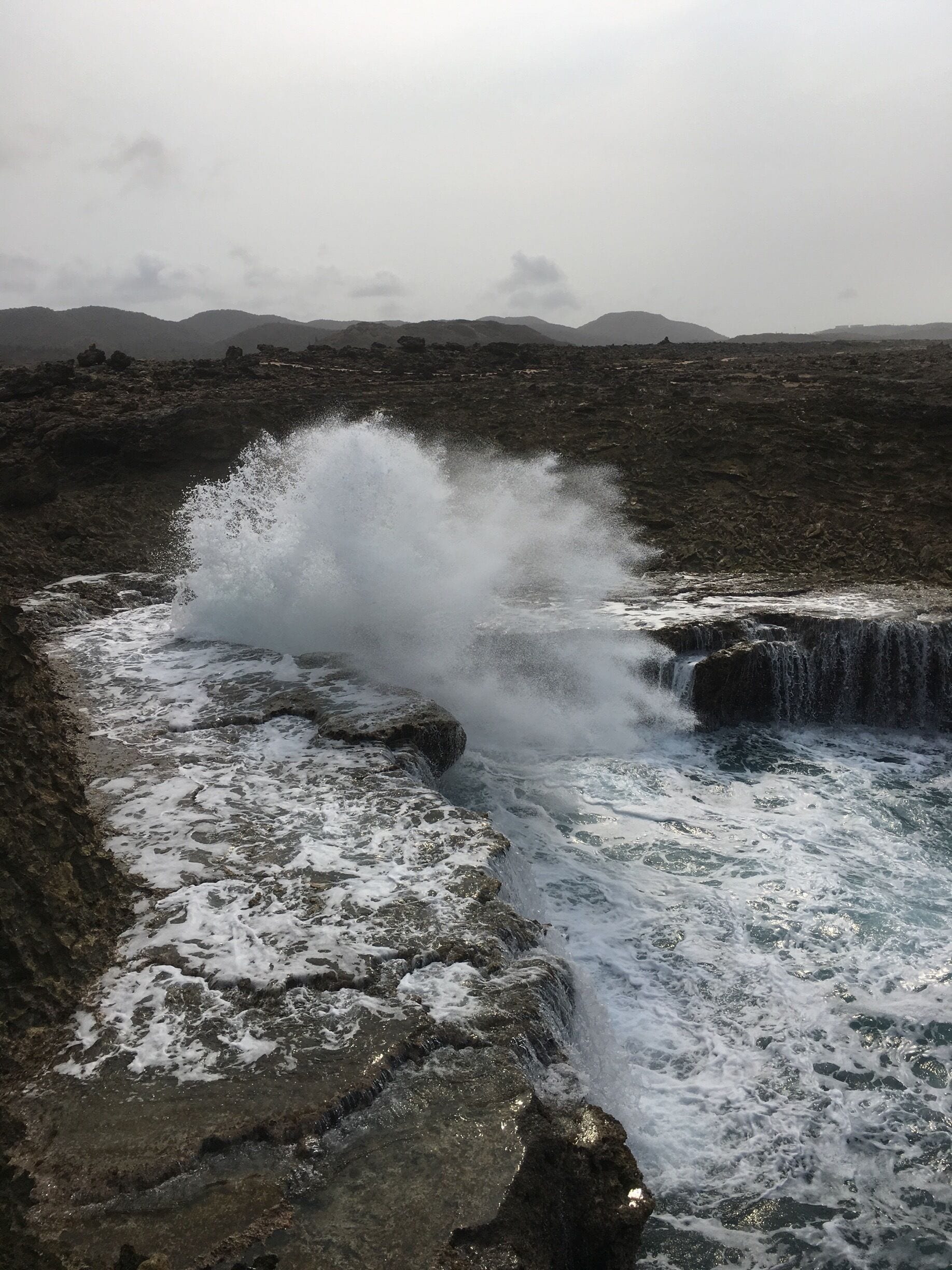 Blowhole