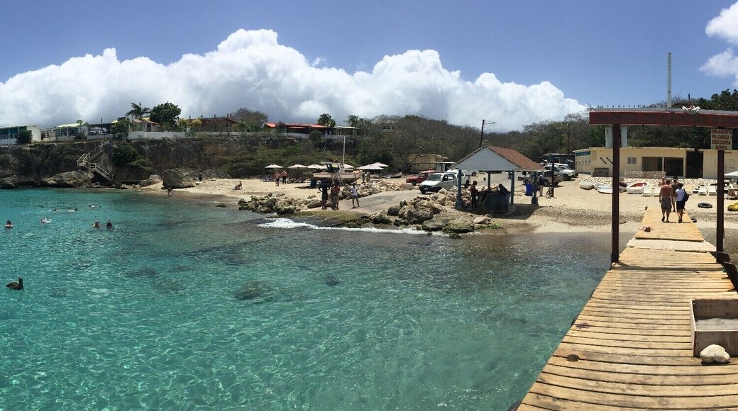 #LifeatExpedia
In #PlayaPiskado, the fisherman sell the fishes to feed the turtles that swin around the pier!
