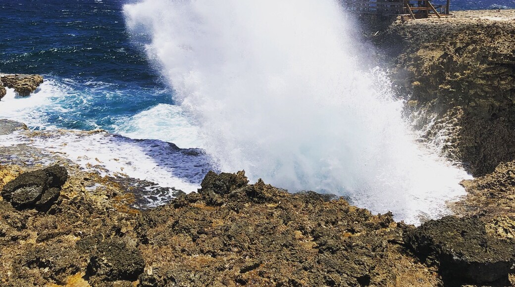 Sheta Boka Pistol Trail - where waves come together and crash into the air sounding like a gunshot. Kind of the opposite of a waterfall #shetaboka #shetabokanationalpark #curacao #curacao_island