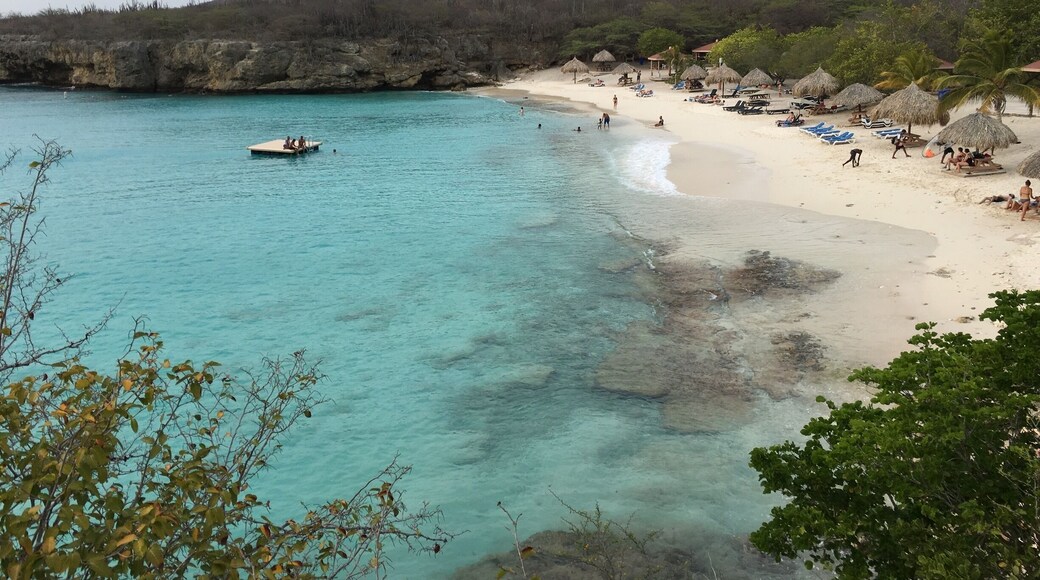 Curaçao...one of the many beautiful beaches on this island.