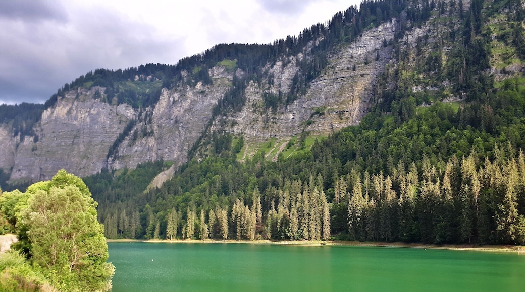 The most beautiful lake above Montriond. Great place to canoe, swim and relax. A cycle ride from Morzine.