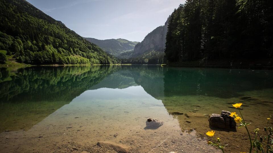 A calm lake surrounded by forested mountains.