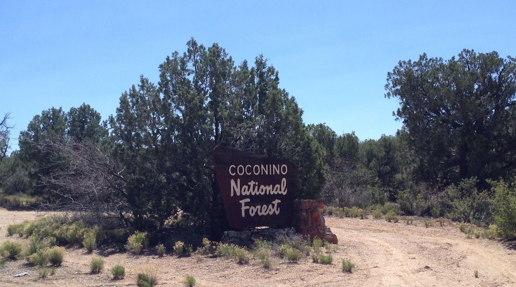 National Forest