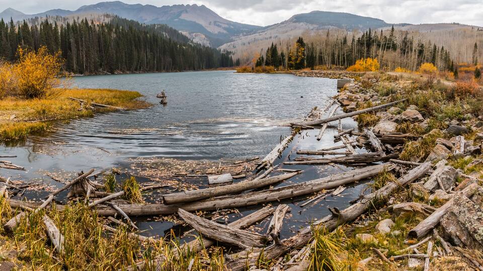 A river with fallen logs, surrounded by autumn-colored trees and mountains in the background.