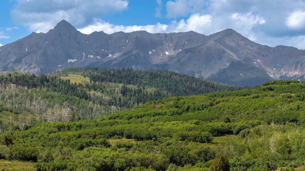 Mount Sneffles landscape at Continental divide in Colorado during summer time.