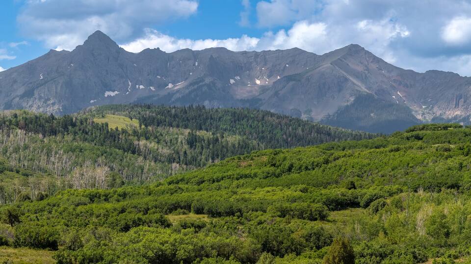 A mountain range with dense forests and a clear sky.