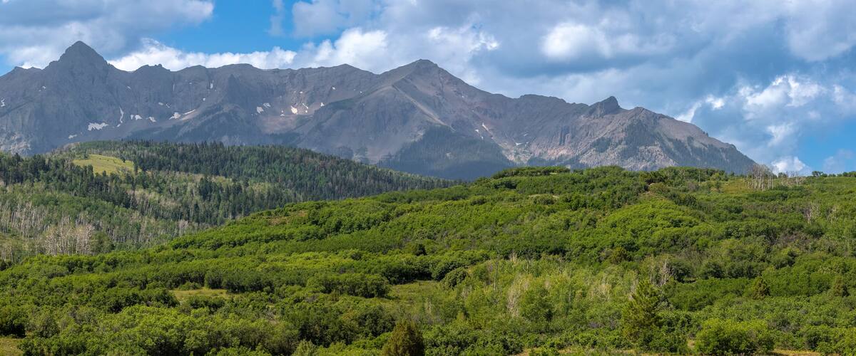 A mountain range with dense forests and a clear sky.