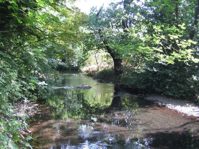 River Crane in Cranford Park. Viewed looking upstream.