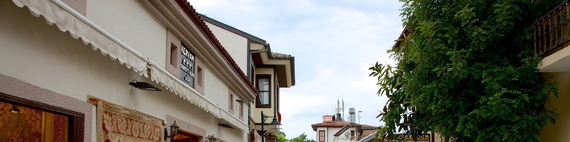 Antalya featuring street scenes