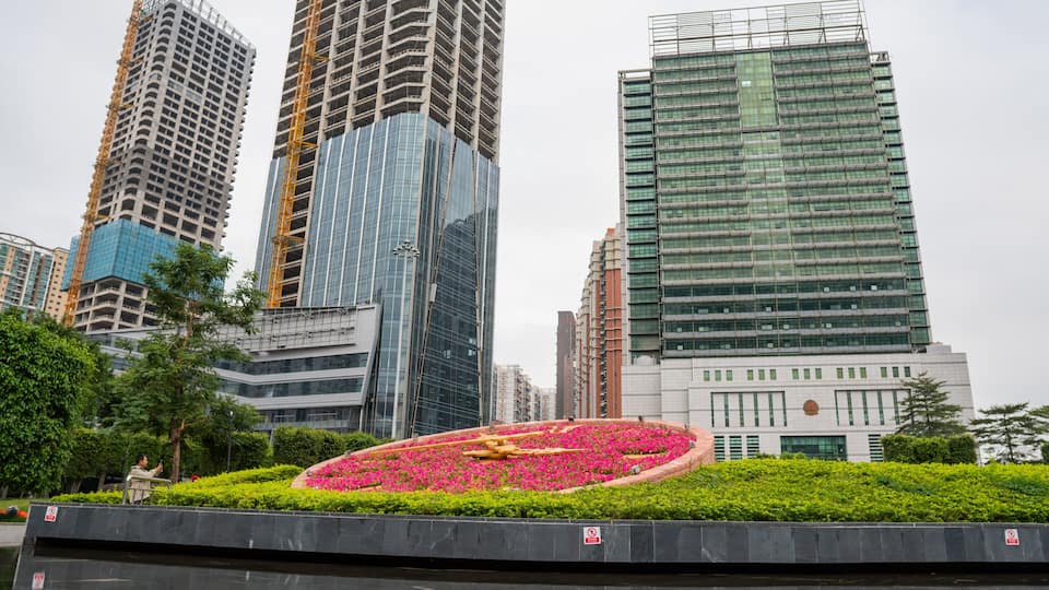 Shenzhen showing a city, flowers and a park
