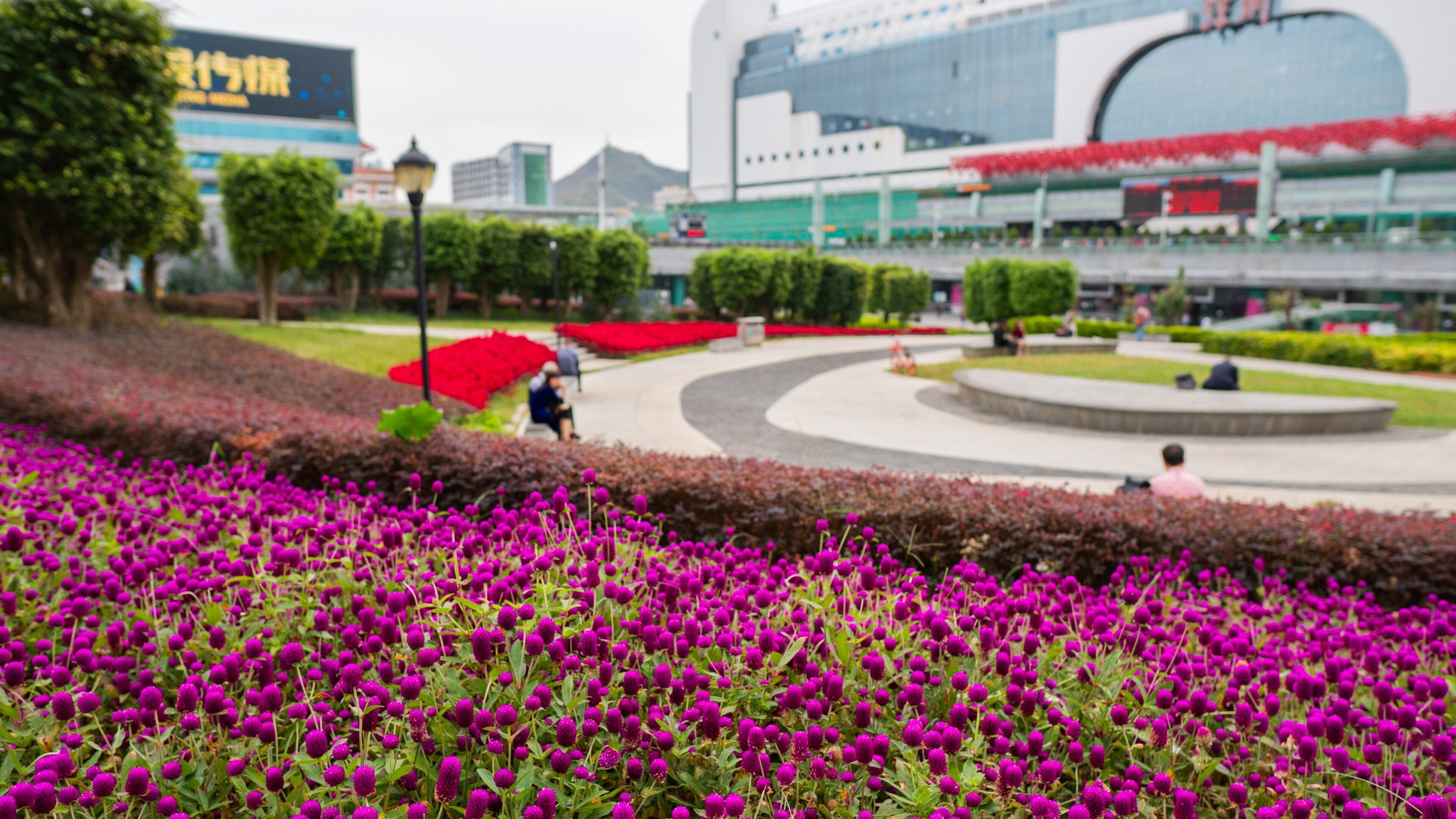 Shenzhen which includes wildflowers and a park